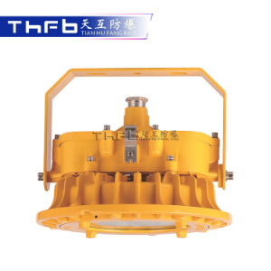 免维护LED防爆灯TFC8125