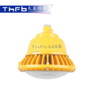 免维护LED防爆灯TFC-8205B