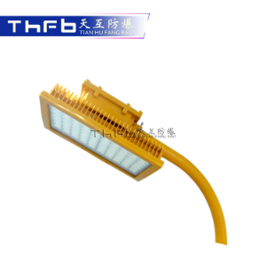 免维护LED防爆灯（路灯型）TFC-8721B