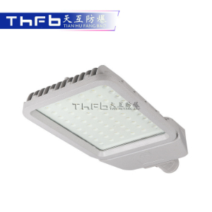 免维护LED防爆灯（路灯型）TFC-8722B