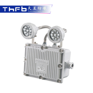 防爆双头应急灯BAJ