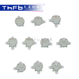 防爆接线盒AH