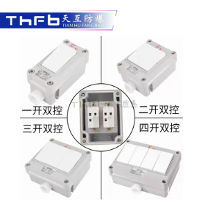 防爆墙壁开关SW-10B